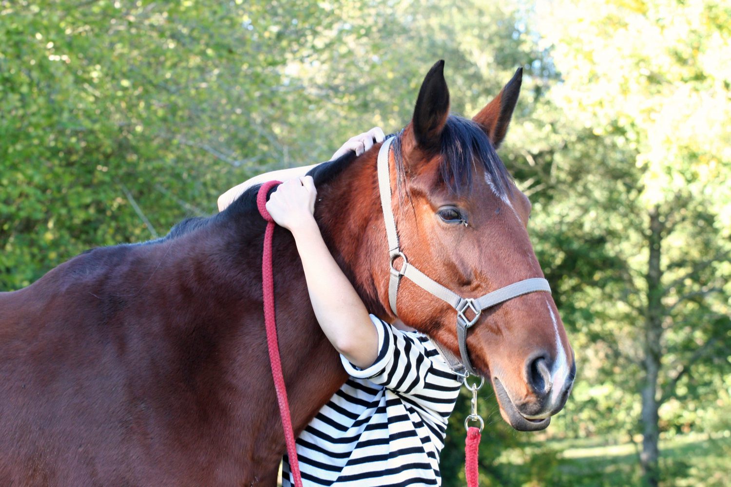 L&rsquo;amour inconditionnel, moteur de votre relation