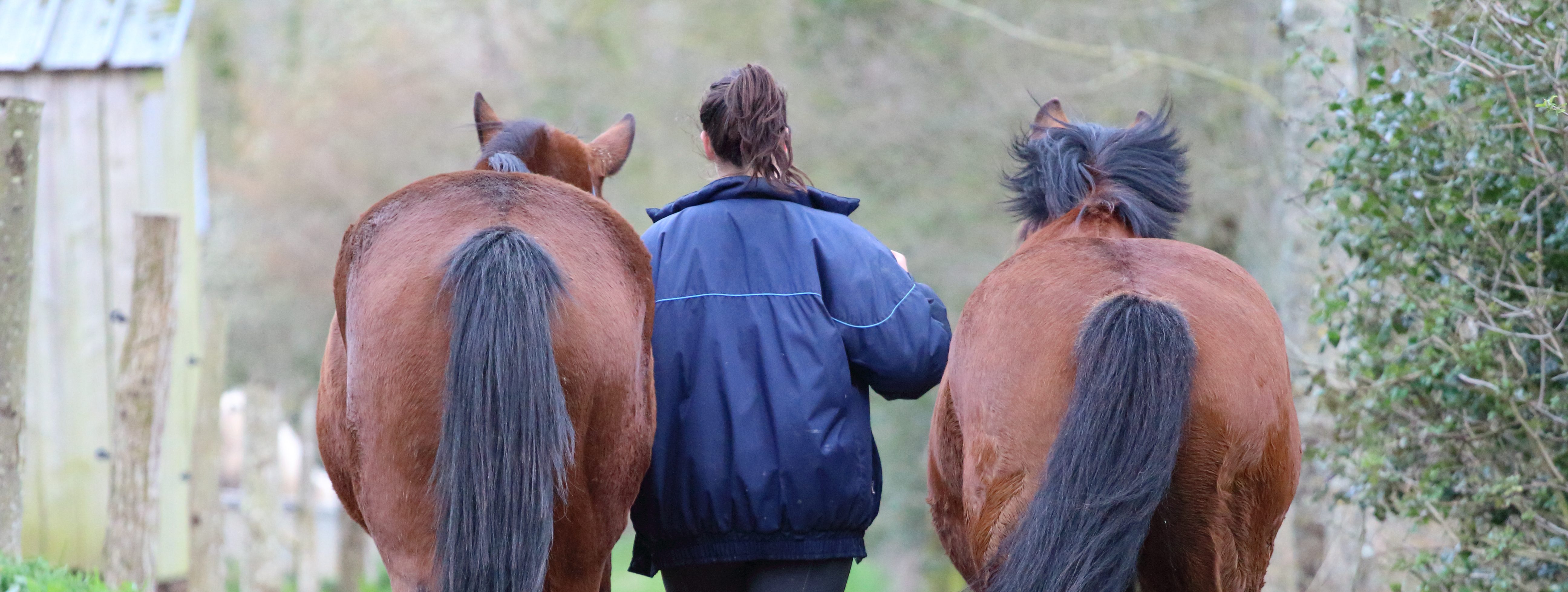 8 choses que j&rsquo;aurais aimé savoir quand j&rsquo;étais cavalière de club