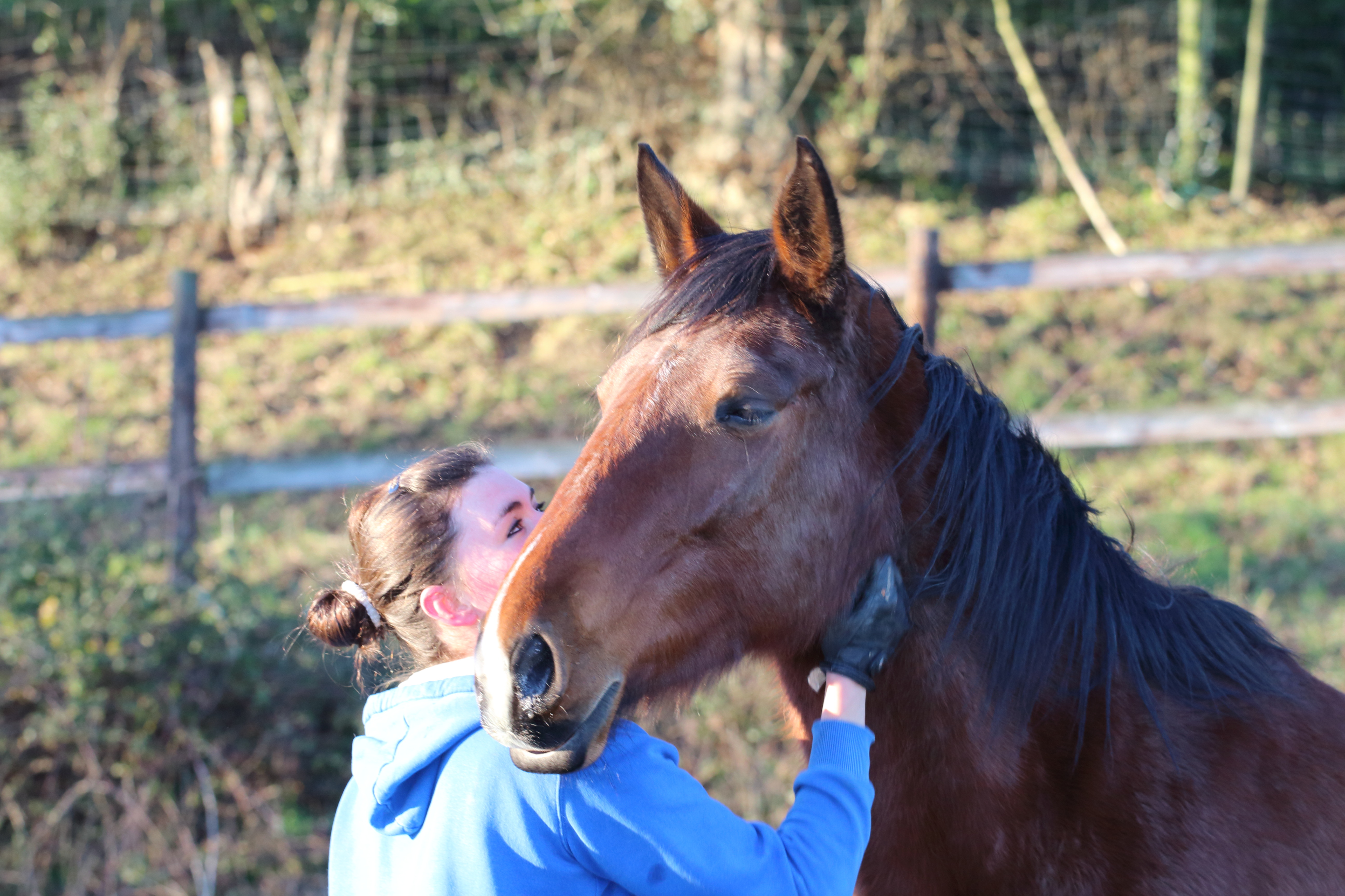 Mon cheval ne me respecte pas …