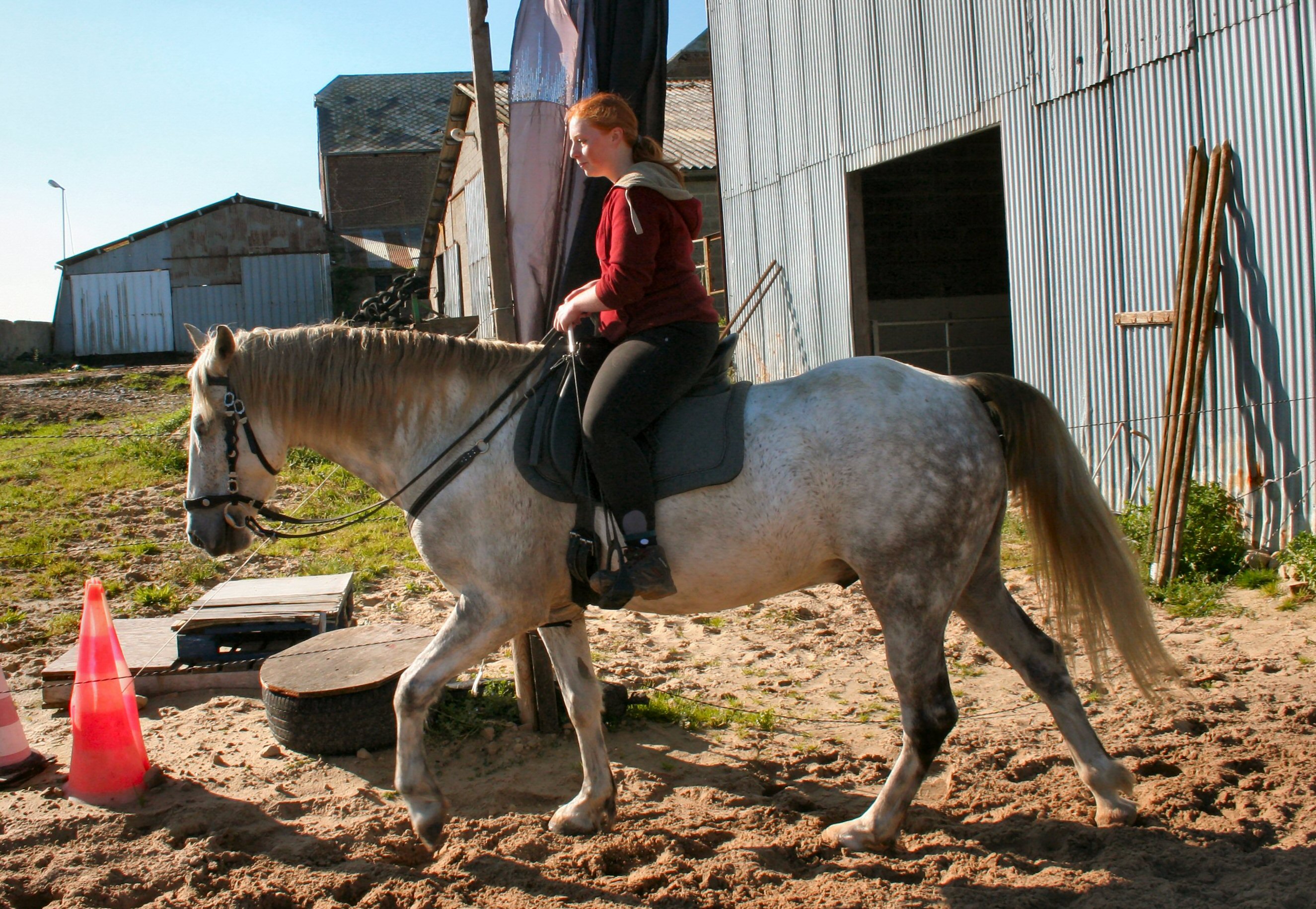 Gymnastique Physique et Amélioration Comportementale, ou les Vertues d&rsquo;une Equitation Attentive