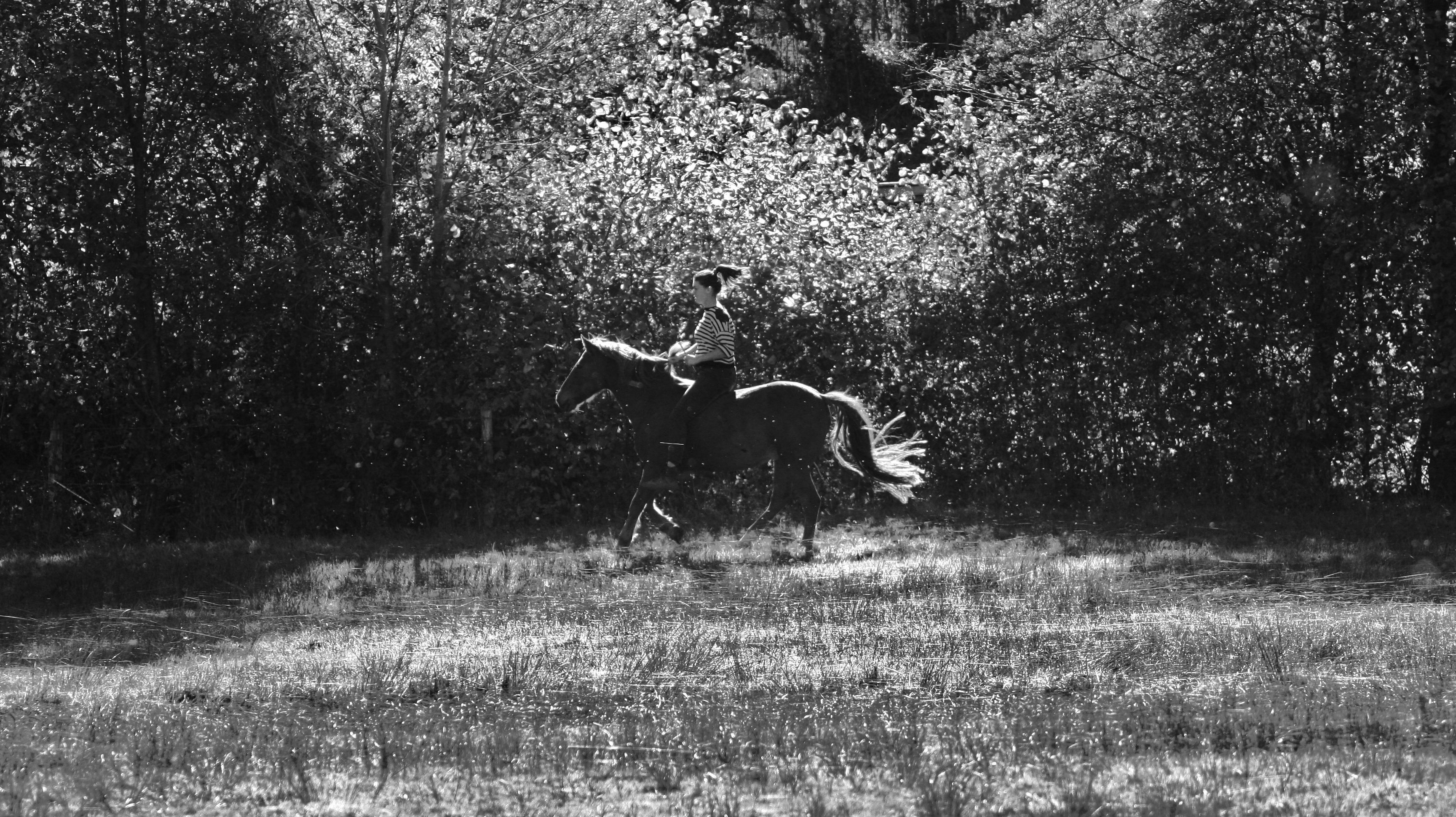 3 Raisons de lâcher vos rênes …