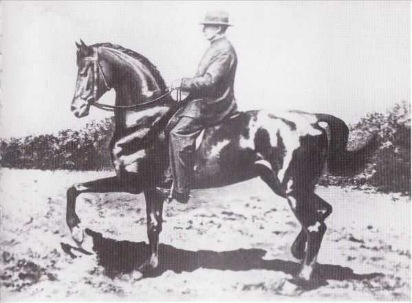 Hommage à « l&rsquo;écuyer mirobolant » !