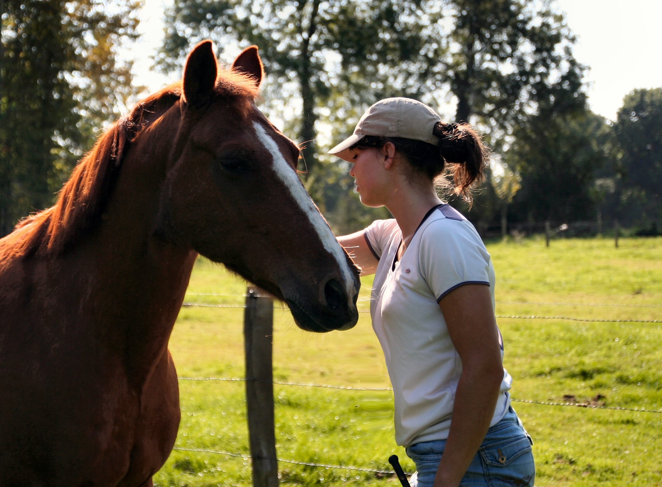Pourquoi muscler et assouplir son cheval de balade ?