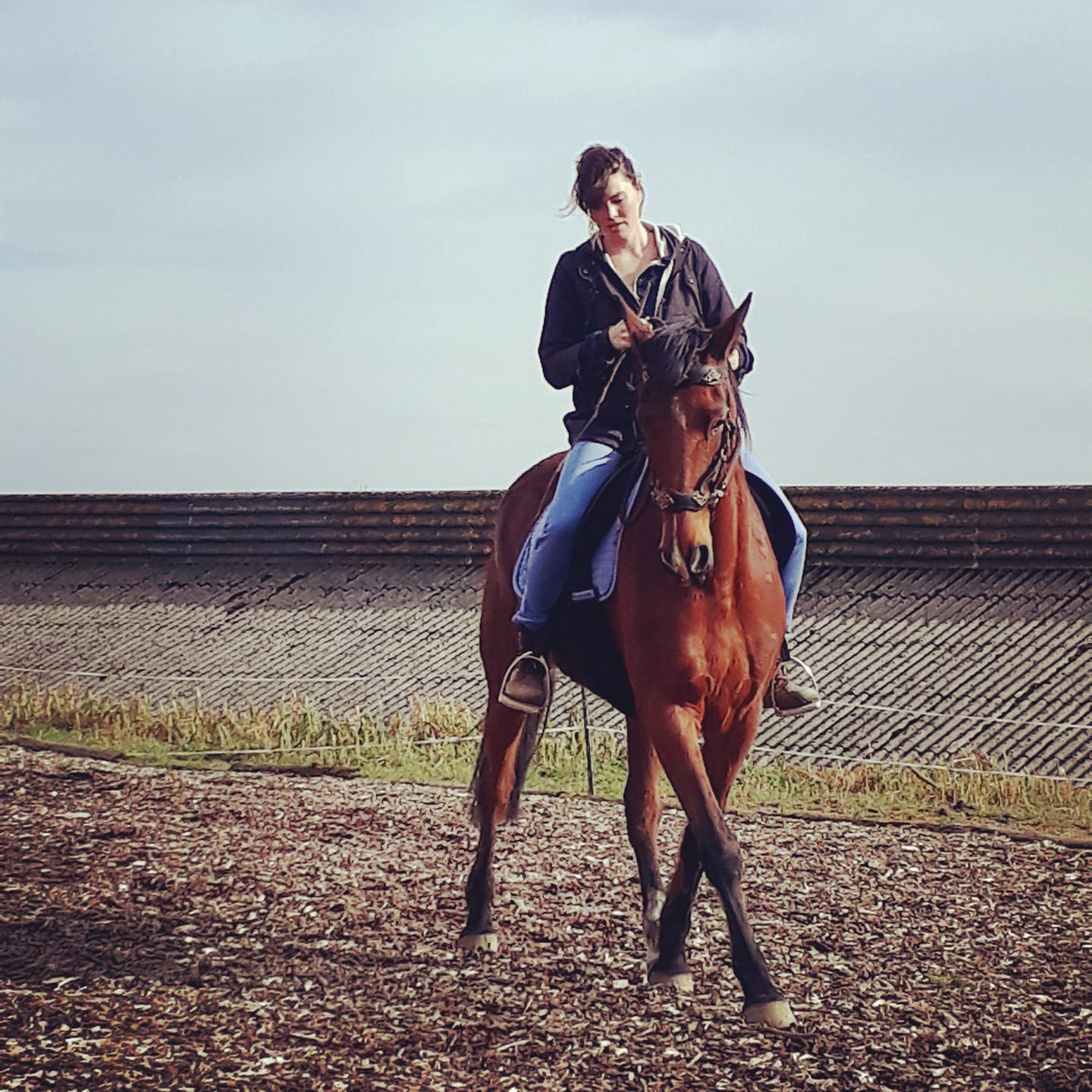 6 astuces pour être un.e meilleur.e cavalièr.e
