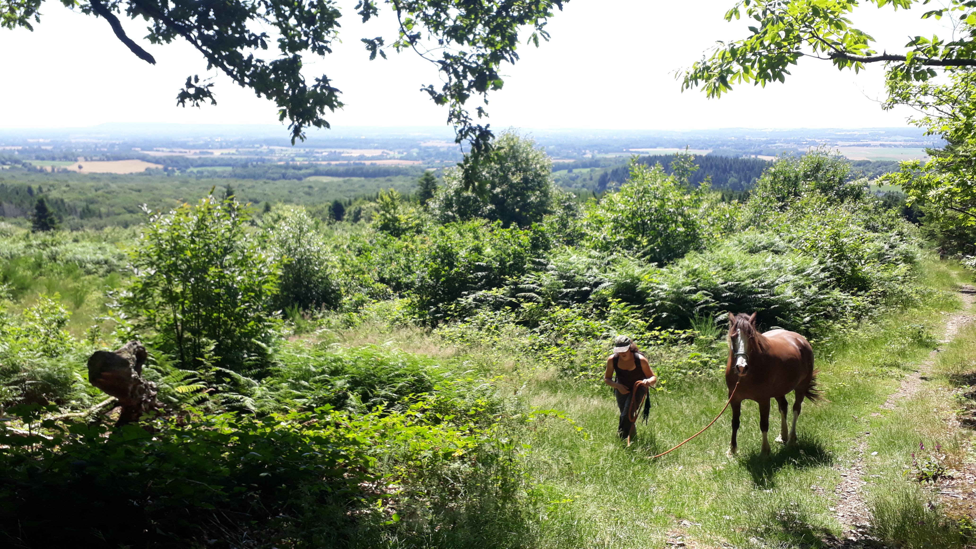 Comment ne plus avoir peur d&rsquo;aller en extérieur avec mon cheval ?