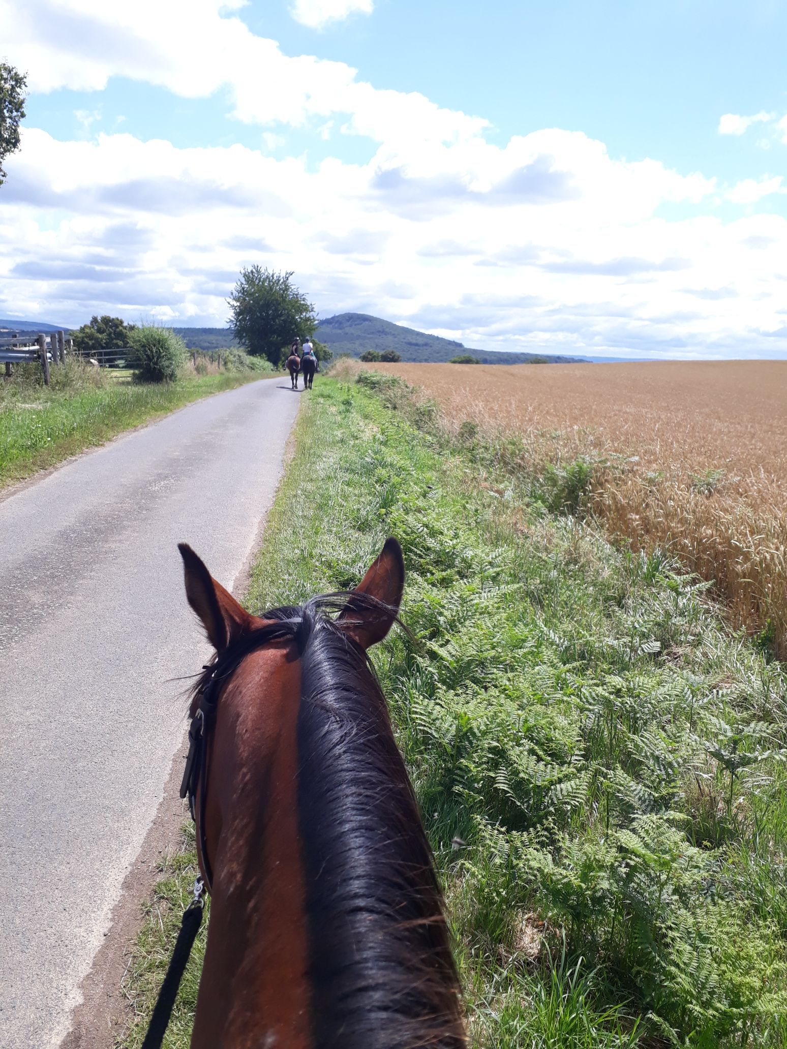Rando et Mountain Trail – 28 Mai au 1er Juin